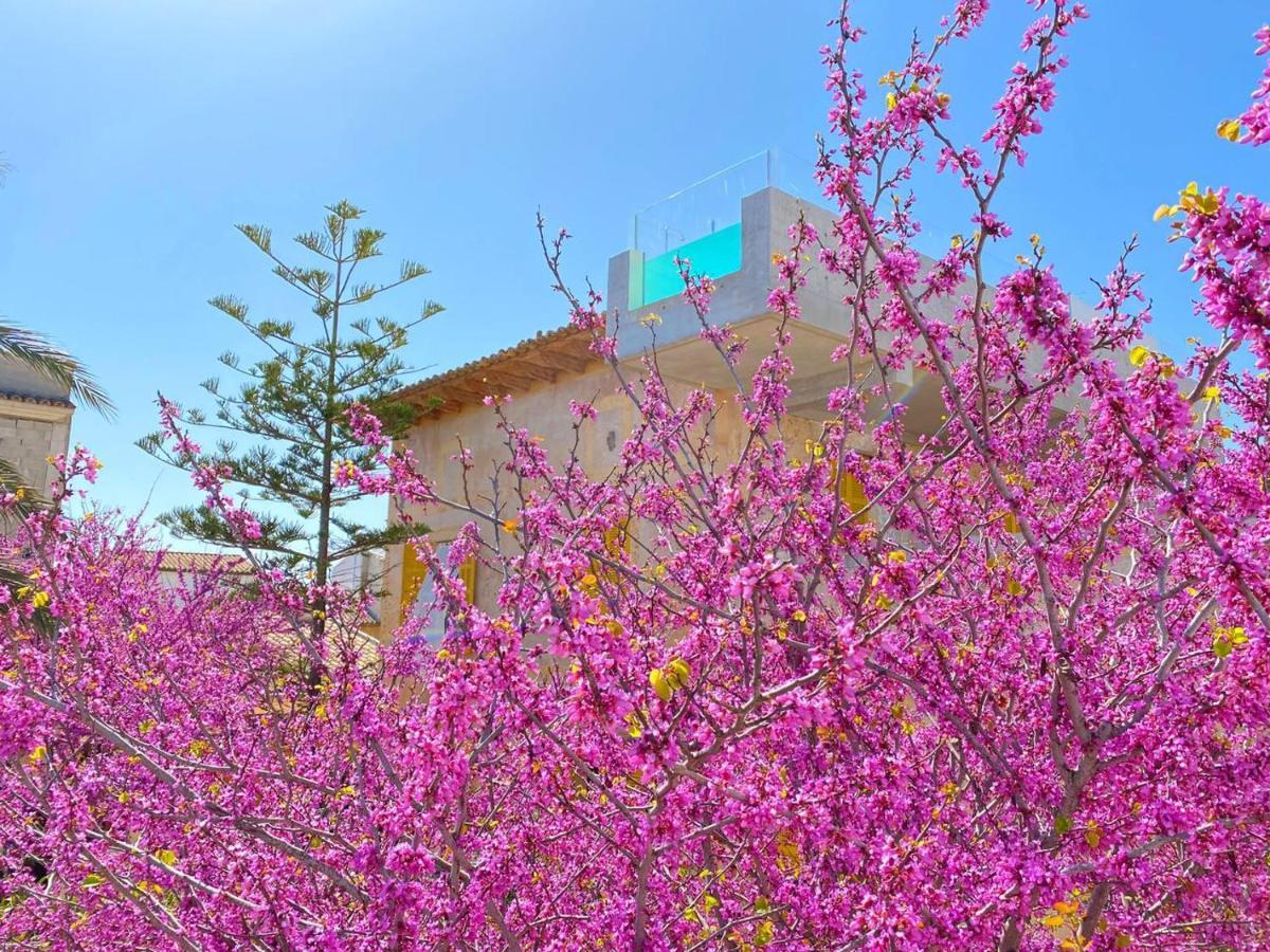 סנט לורנס דס קרדסר Hotel Boutique Can Pocovi מראה חיצוני תמונה